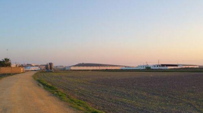 Seville - Marchena - 34100m2
