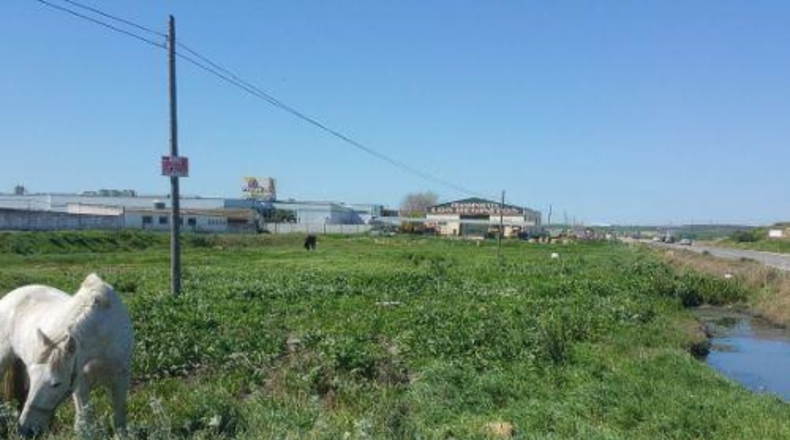 Seville - Marchena - 34100m2
