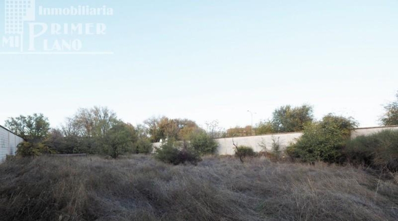 Ciudad Real - Tomelloso - 1500m2