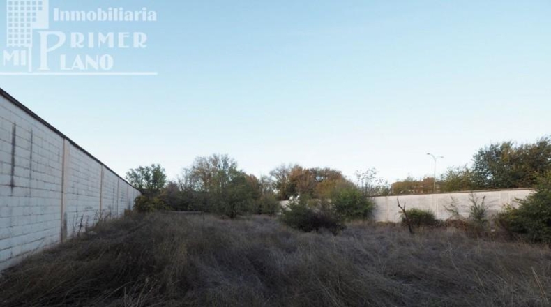 Ciudad Real - Tomelloso - 1500m2