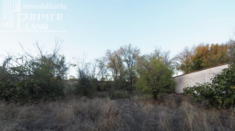 Ciudad Real - Tomelloso - 1500m2