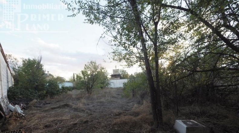 Ciudad Real - Tomelloso - 1500m2