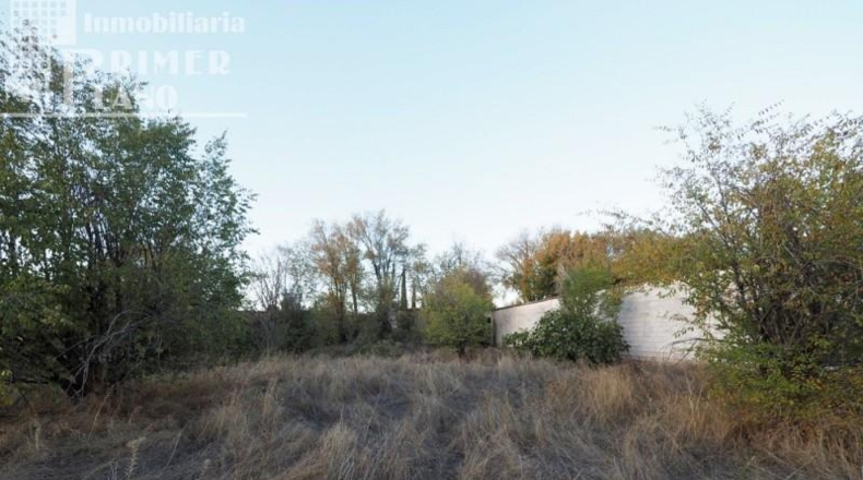 Ciudad Real - Tomelloso - 1500m2