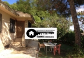 Country house with land for sale on España, Albacete, ref: TR136144 photo