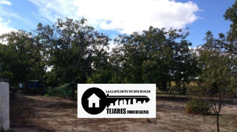 Albacete - Albacete - 3150m2