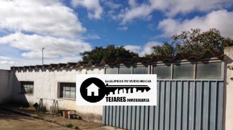 Albacete - Albacete - 3150m2