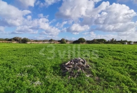 Ciutadella de Menorca 10490&nbsp;m²
