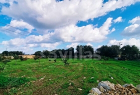 Ciutadella de Menorca 10490&nbsp;m²