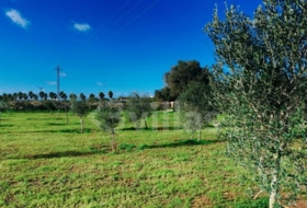 Ciutadella de Menorca 10490&nbsp;m²