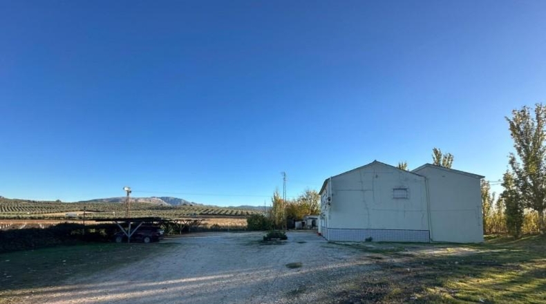 Málaga - Вильянуэва-дель-Трабуко - 5000m2