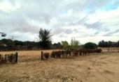 Finca rústica en venta en la España, Villares de la Reina, ref: TR349594 foto