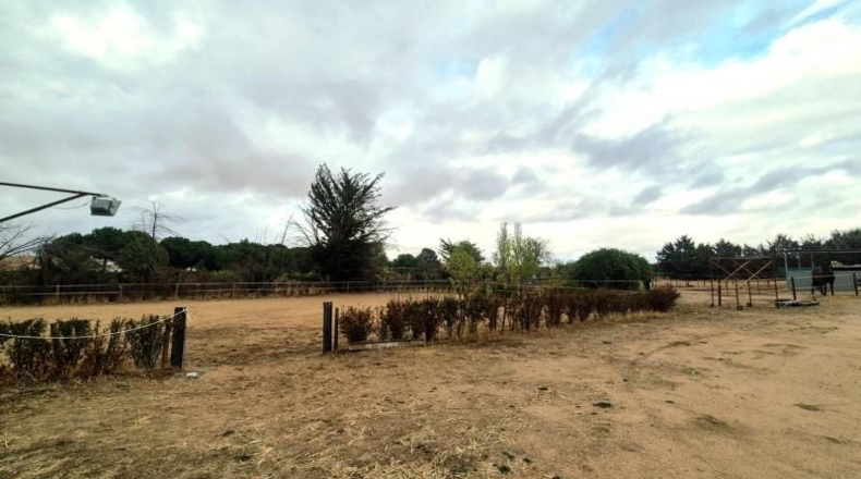 Salamanca - Villares de la Reina - 5000m2