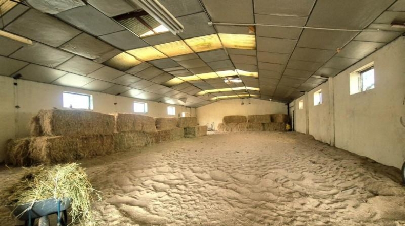 Salamanca - Villares de la Reina - 5000m2