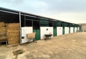 Finca rústica en venta en la España, Villares de la Reina, ref: TR349594 foto