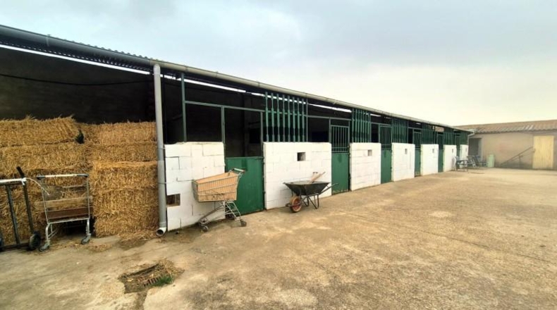 Salamanca - Villares de la Reina - 5000m2