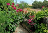 Finca rústica en venta en la España, Villares de la Reina, ref: TR349594 foto
