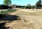 Finca rústica en venta en la España, Villares de la Reina, ref: TR349594 foto
