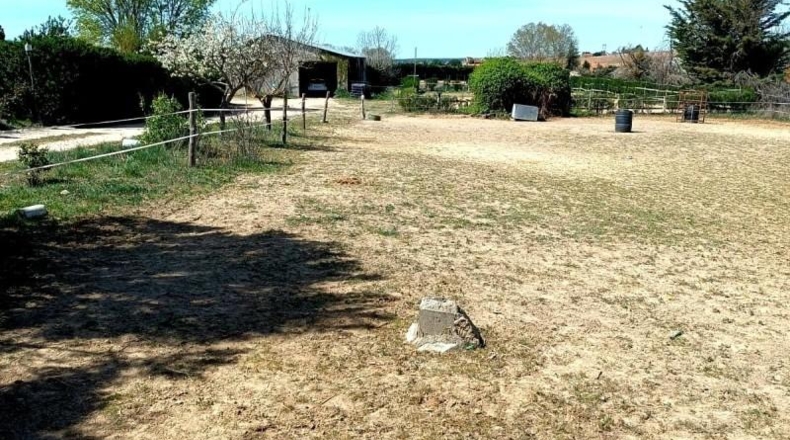 Salamanca - Villares de la Reina - 5000m2