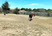 Finca rústica en venta en la España, Villares de la Reina, ref: TR349594 foto
