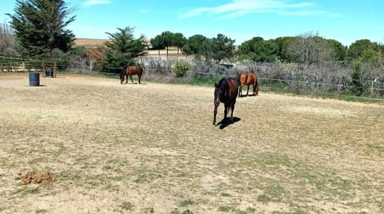 Salamanca - Villares de la Reina - 5000m2