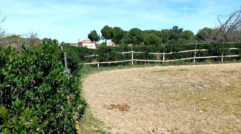Salamanca - Villares de la Reina - 5000m2