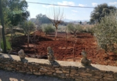 Xalet independent amb terreny en venda a la España, Ronda, ref.: TR155162 foto