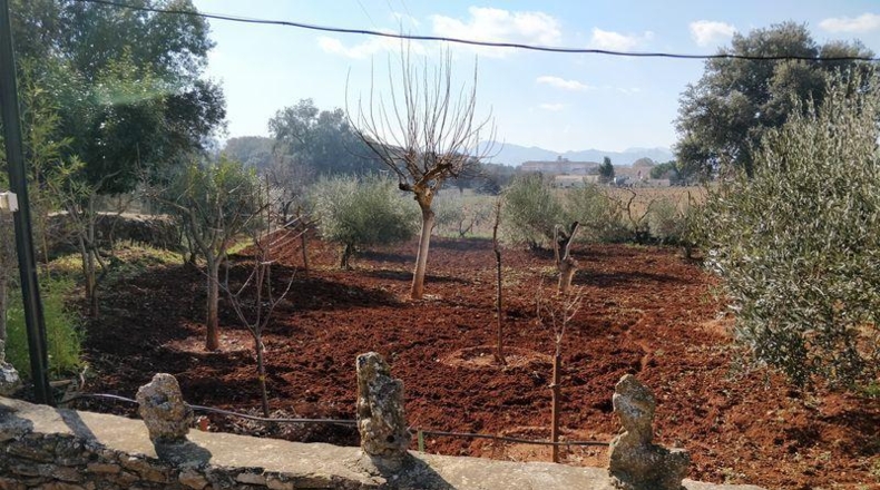 Málaga - Ronda - 3500m2