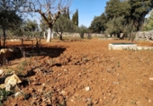 Xalet independent amb terreny en venda a la España, Ronda, ref.: TR155162 foto