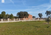 Terreny no urbanitzable en venda a la España, Malpartida de Cáceres, ref.: TR127340 foto