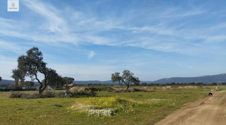 Cáceres - Càceres - 276m2