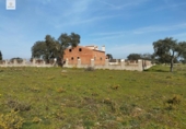 Terreny no urbanitzable en venda a la España, Malpartida de Cáceres, ref.: TR127340 foto