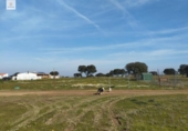 Terreny no urbanitzable en venda a la España, Malpartida de Cáceres, ref.: TR127340 foto
