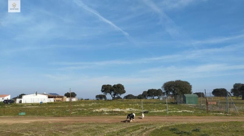 Cáceres - Càceres - 276m2