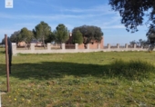 Terreny no urbanitzable en venda a la España, Malpartida de Cáceres, ref.: TR127340 foto