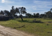 Terreny no urbanitzable en venda a la España, Malpartida de Cáceres, ref.: TR127340 foto
