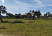 Terreny no urbanitzable en venda a la España, Malpartida de Cáceres, ref.: TR127340 foto