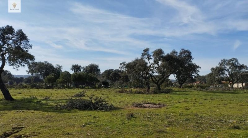Cáceres - Càceres - 276m2