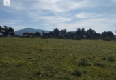Terreny no urbanitzable en venda a la España, Malpartida de Cáceres, ref.: TR127340 foto