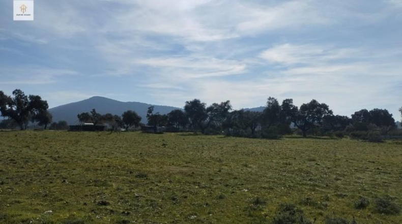 Cáceres - Càceres - 276m2