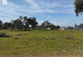 Terreny no urbanitzable en venda a la España, Malpartida de Cáceres, ref.: TR127340 foto