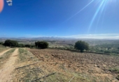 Xalet independent amb terreny en venda a la España, Arcos de la Frontera, ref.: TR155918 foto