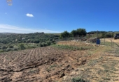 Xalet independent amb terreny en venda a la España, Arcos de la Frontera, ref.: TR155918 foto