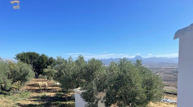 Cádiz - Arcos de la Frontera - 60000m2