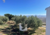 Xalet independent amb terreny en venda a la España, Arcos de la Frontera, ref.: TR155918 foto