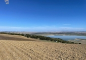 Xalet independent amb terreny en venda a la España, Arcos de la Frontera, ref.: TR155918 foto