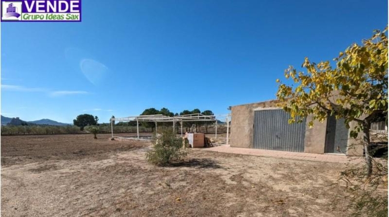 Alicante - Sax - 280m2