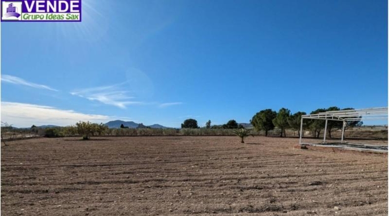 Alicante - Sax - 280m2