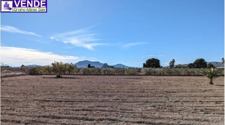 Alicante - Sax - 280m2