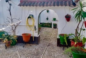 Foto 19