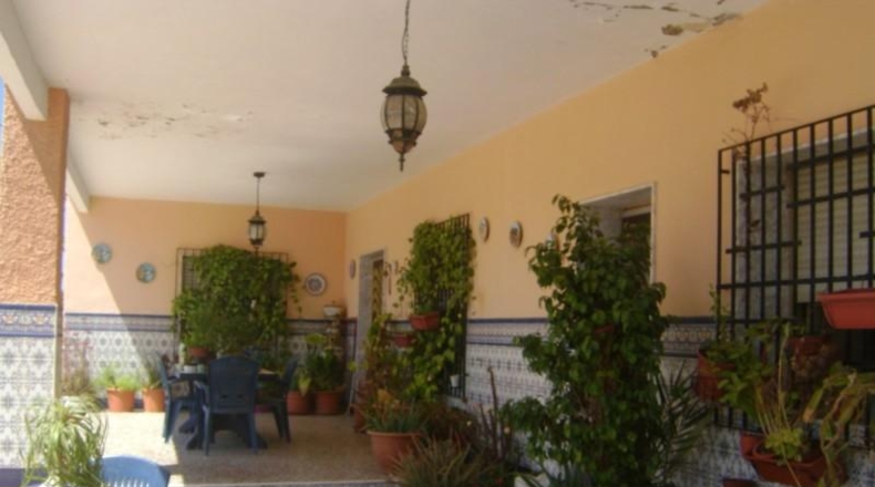 Alicante - Crevillent - 3000m2